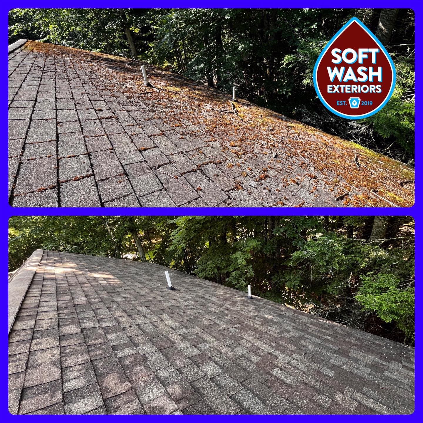 Roof soft wash — lichen and biological growth removal
