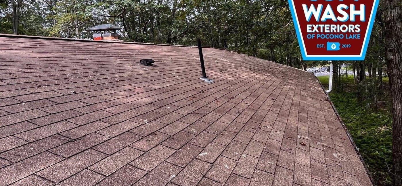 After — Moss-covered shingle roof in Pocono Lake, soft washed clean